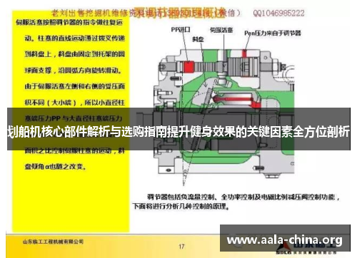 划船机核心部件解析与选购指南提升健身效果的关键因素全方位剖析