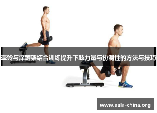 壶铃与深蹲架结合训练提升下肢力量与协调性的方法与技巧