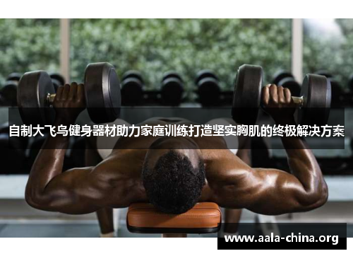 自制大飞鸟健身器材助力家庭训练打造坚实胸肌的终极解决方案