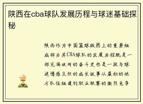 陕西在cba球队发展历程与球迷基础探秘